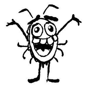 300x300 Spider The Gang Written And Illustrated