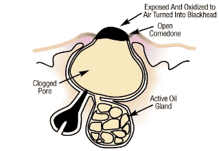 319x220 rohto mentholatum malaysia