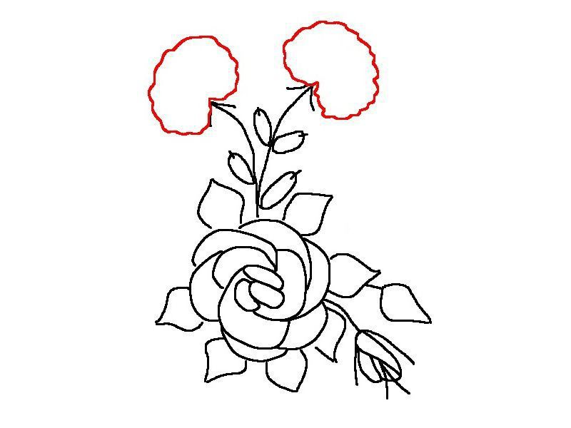 800x600 Schemes, Description And Master Class Cushion Pincushionroses