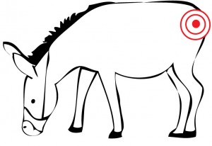 300x206 Sight Word Games Pin The Tail On The Donkey