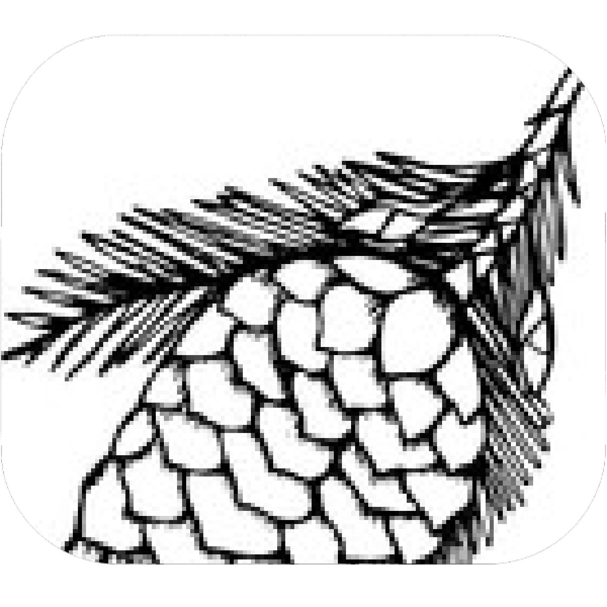 1200x1200 Designs Mein Mousepad Design Mousepad Selbst Designen