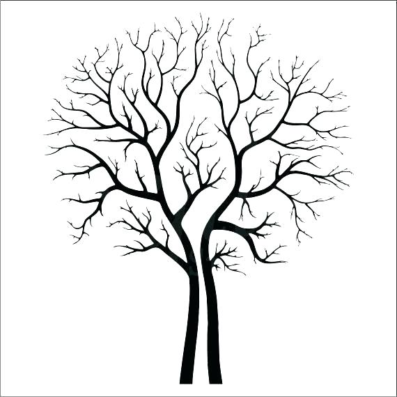 570x570 Family Tree Template Cherry Branches Download Branch Free