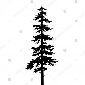 300x300 Pine Tree Branch Silhouette Gm Soidergi