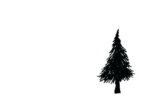 500x357 Pine Tree Drawing Pine Pine Tree Drawing Simple Zupa