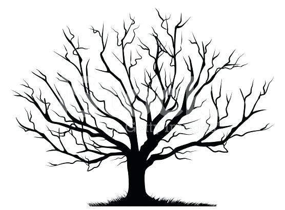 556x410 Trees Silhouette Vector Best Draw Realistic Plants Rocks Images