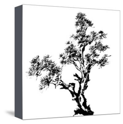 400x401 Chinese Traditional Ink Painting, Pine Tree On White Background