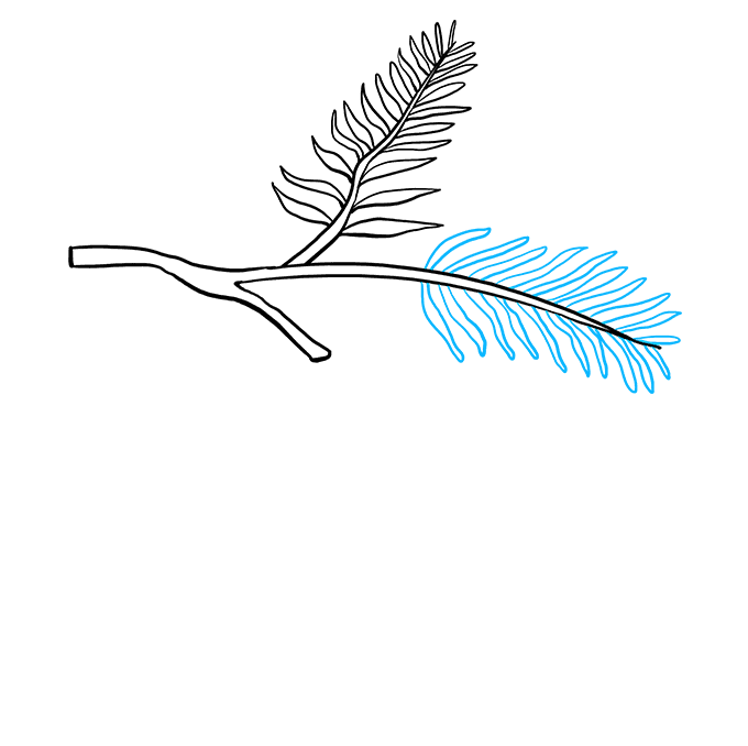 680x678 How To Draw A Pinecone