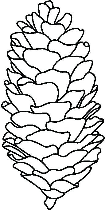 342x683 Pine Cone Colouring