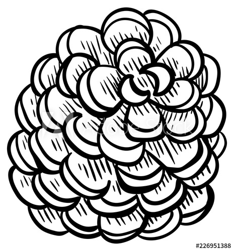 465x500 Pine Cone