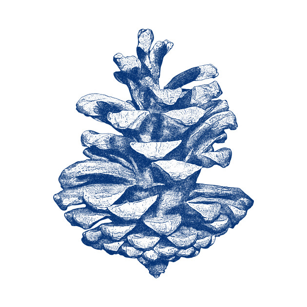 630x630 Blue Pine Cone Drawing
