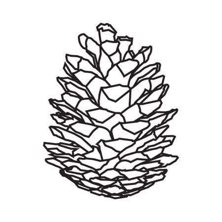 450x450 Pinecone Stamp