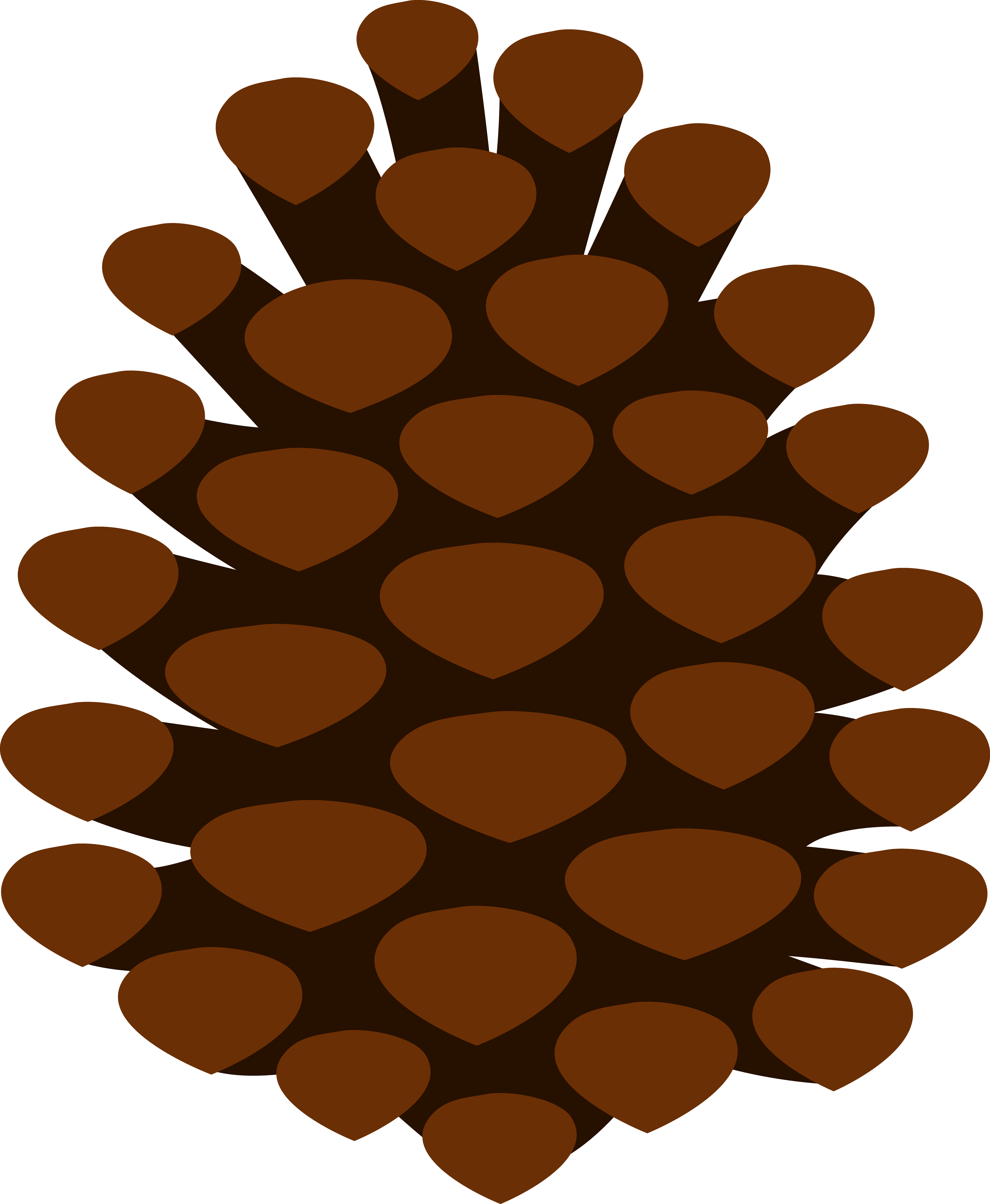 4654x5663 Collection Of Free Pinecone Drawing Cartoon Download On Ui Ex