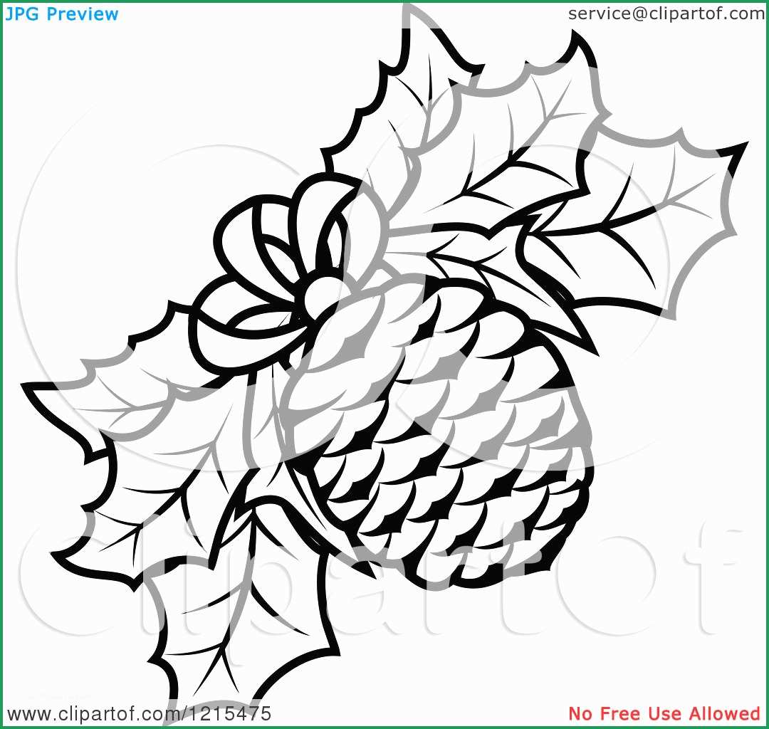 1080x1024 Lovely Photos Of Pine Cone Coloring