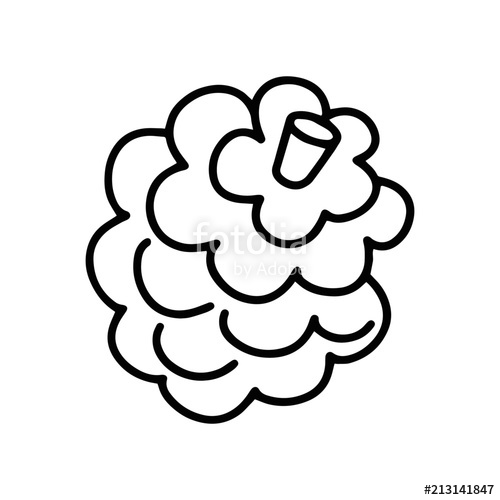 500x500 Pine Cone Cartoon Illustration Isolated On White Background