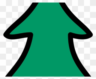 320x265 Single Leaf Pinyon Pine