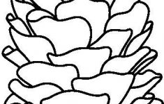 235x150 Pine Cone Coloring