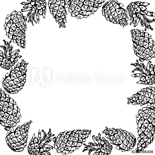 500x500 Card With Frame Of Pine Cones Vector Outline Drawing With Space