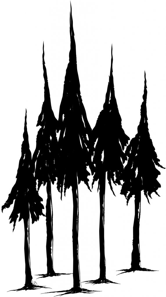 572x1024 Drawings Of Pine Trees Pine Tree Drawings Clipart Best Sketches