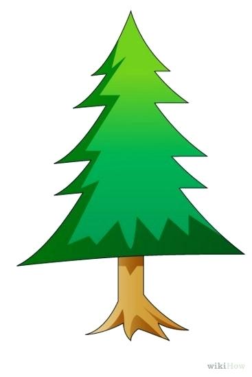 367x549 Drawing Pine Tree Learnthai