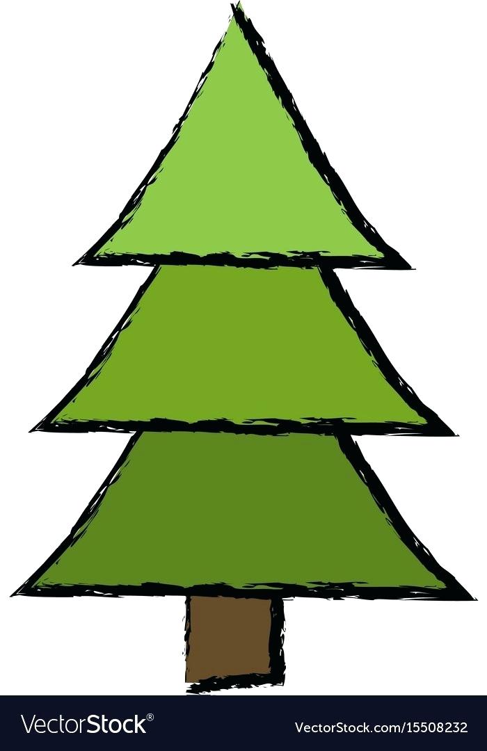 700x1080 How To Draw Pine Trees Step