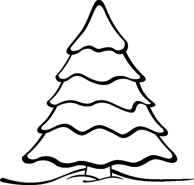 800x760 Pine Tree Clipart Black And White Best Of Pine Tree Pencil Drawing