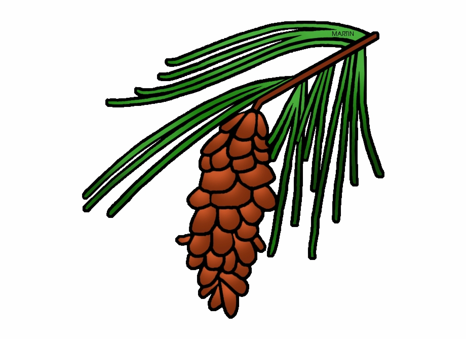 920x669 Pine Tree Clipart North Carolina
