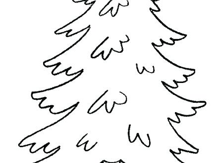 440x330 Pine Tree Coloring Sheets