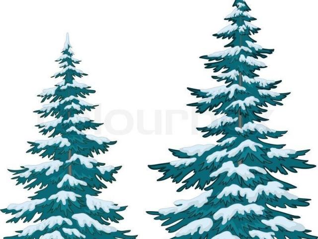 640x480 Drawn Snow Pine Tree Drawing