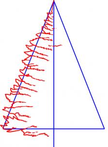 223x302 How To Draw How To Draw A Pine Tree