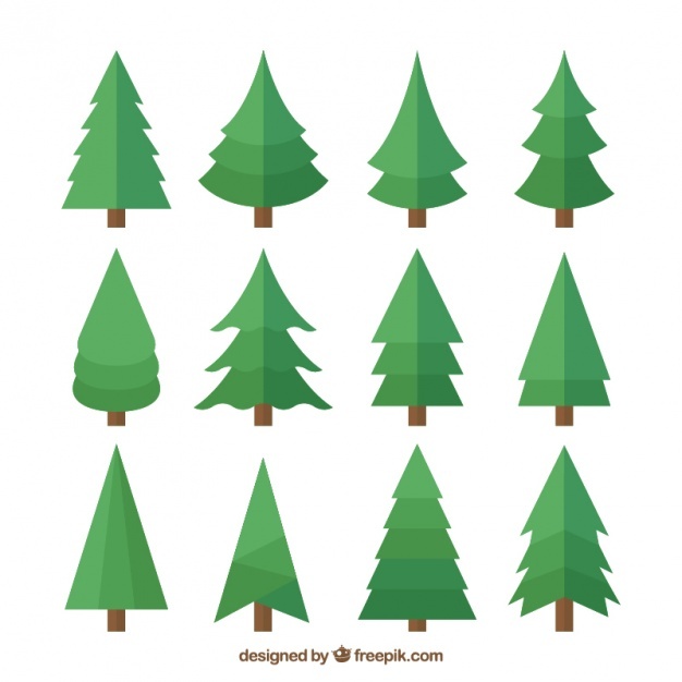 626x626 Pine Vectors, Photos And Free Download