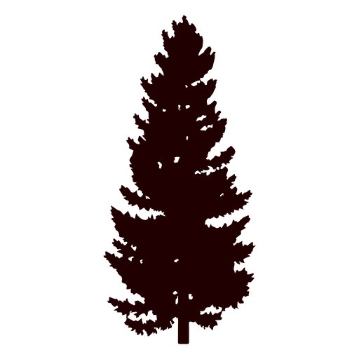 512x512 Fir Tree Silhouette Pictures And Cliparts, Download Free