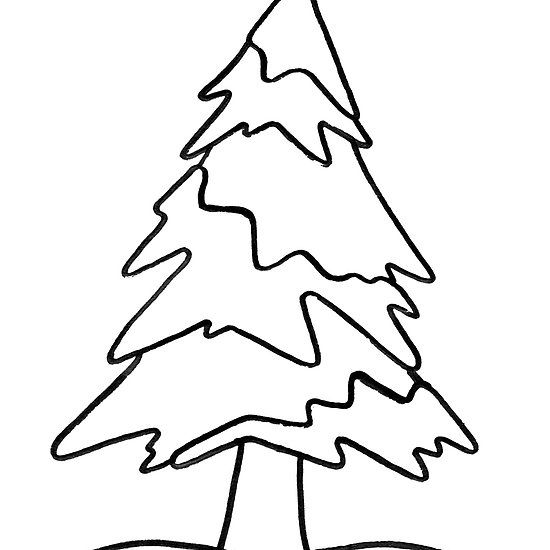 550x550 Nature's Christmas Tree Line Drawing Of A Pine Tree Covered