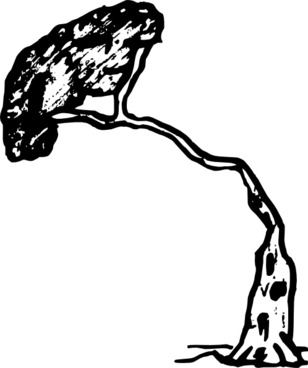 308x368 Pine Tree Free Vector Download