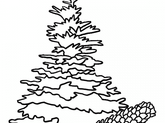 640x480 Pinetree Vector Skinny Transparent Png Clipart Free Download