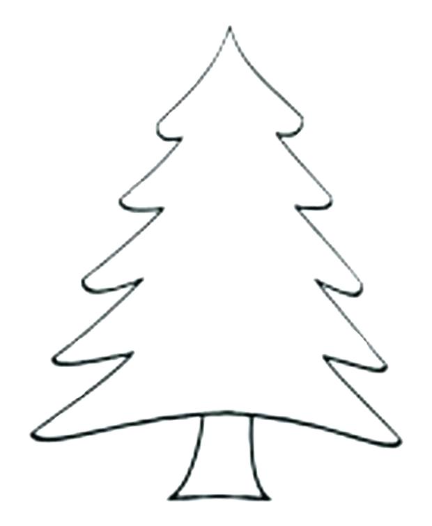 620x755 Pine Tree Outline Illustration Of A Tree Outline On White