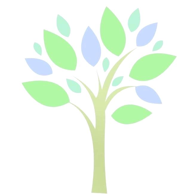 650x651 Simple Tree Sketch Author Drawing Simple Pine Tree Sketch