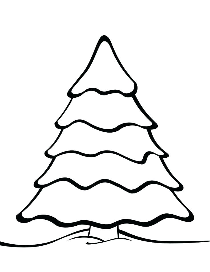 736x952 Trees Coloring Pages Download And Print White Pine Tree