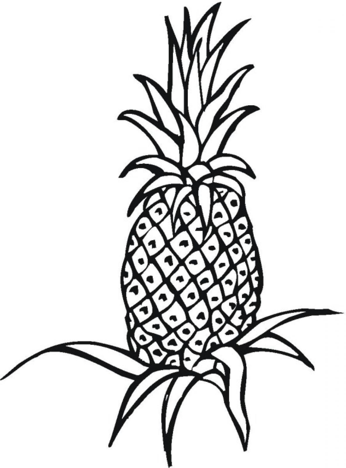 1183x1600 Pineapple Drawing Geometric For Free Download
