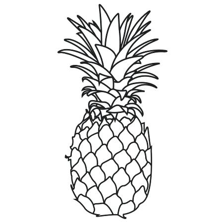 450x450 Sketch Of Pineapple Fruit How To Draw A Still Life Composition
