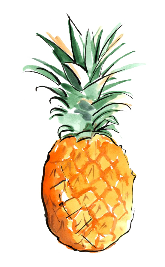 550x889 Collection Of Free Pineapple Drawing Creative Download On Ui Ex