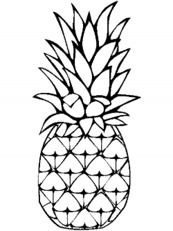 250x333 Pineapple Clipart Black And White, Picture