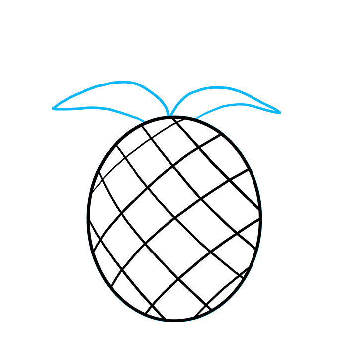 680x678 How To Draw A Pineapple
