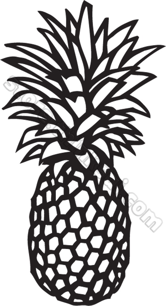 540x990 Pineapple Drawing Related Keywords Sugge