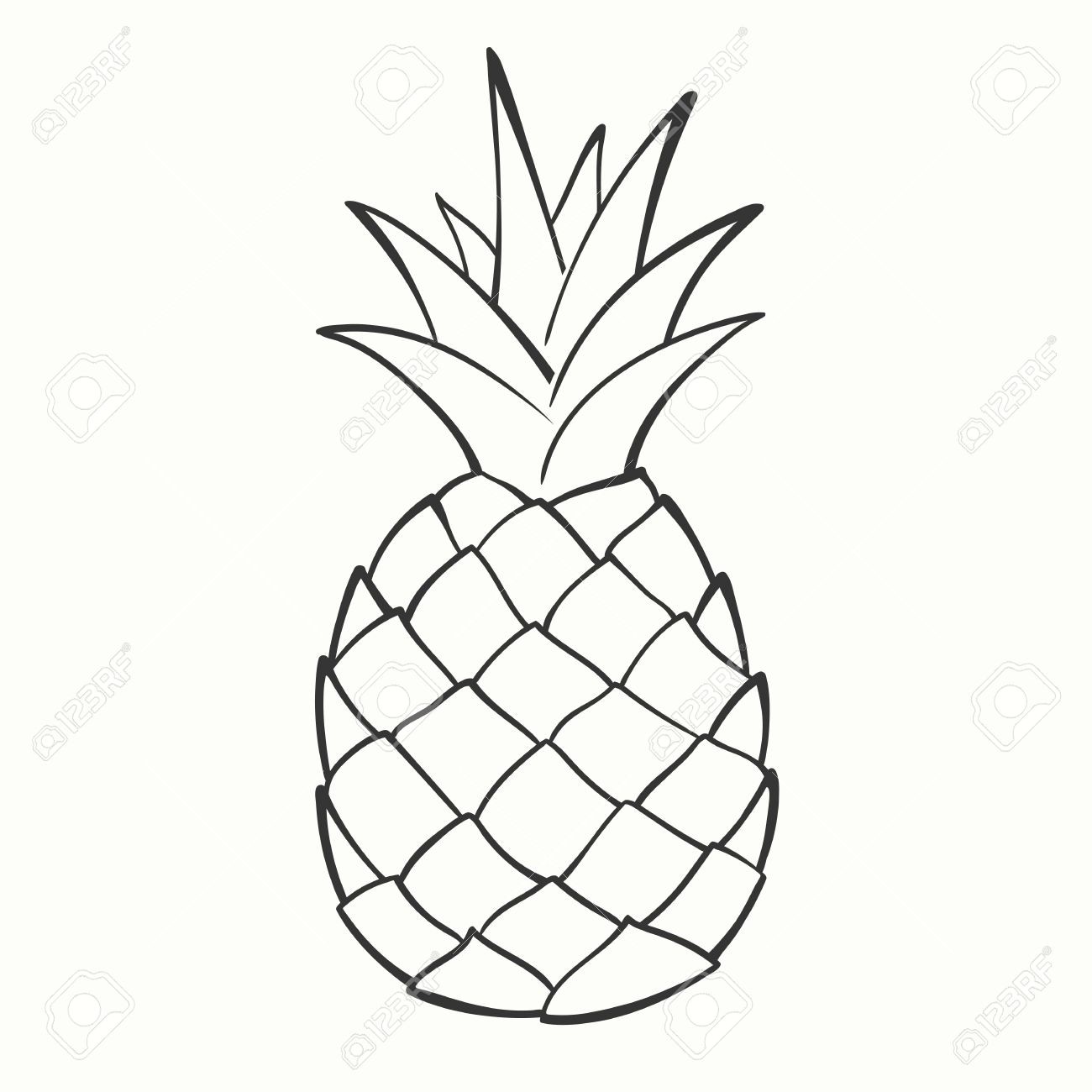 1300x1300 Pineapple Sketch Vector