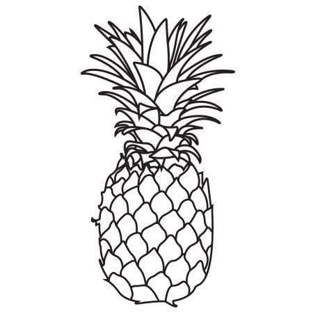 450x450 Pineapple Stamp