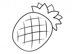239x180 Simple Line Drawings Of Fruit