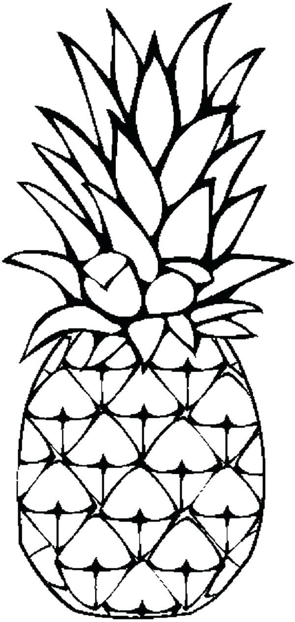 600x1262 Sketch Of A Pineapple How To Draw A Pineapple Step Sketch