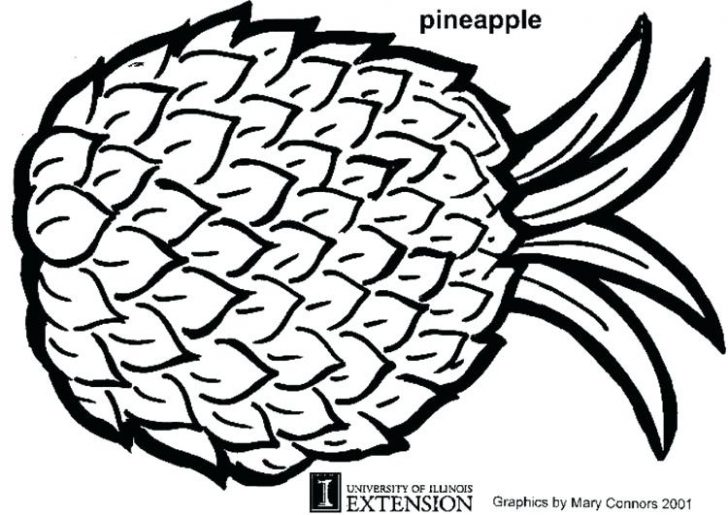 728x515 Coloring Pages Online Unicorn For Kids To Print Disney Pineapple