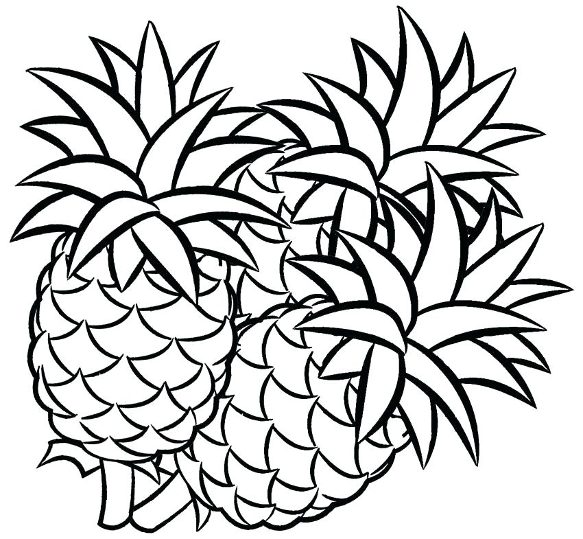 850x785 Coloring Pages Pineapple Sheet To Print Line Drawing