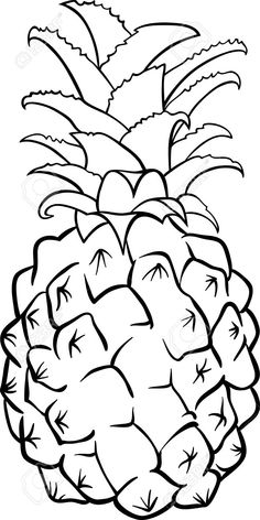 Pineapple Outline Drawing